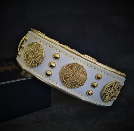 Picture of Bestia Maximus Dog Collar White & Gold